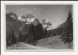 AK ca. 1945 Weg vom Aelpli zum Voralp mit Gamsberg SG
