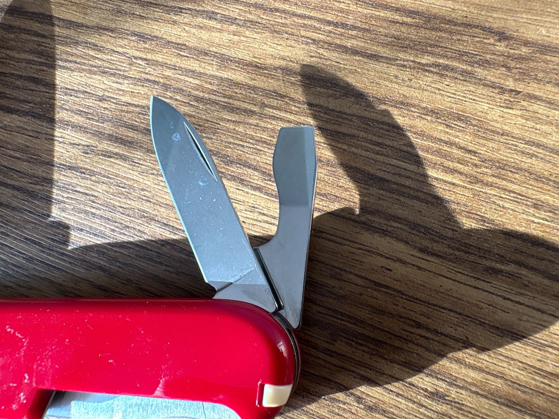 Victorinox Coltelli tascabile: VICTORINOX - Spartan - Sackmesser - Sika – Usato da Andwil SG venduto da Rainboli 5