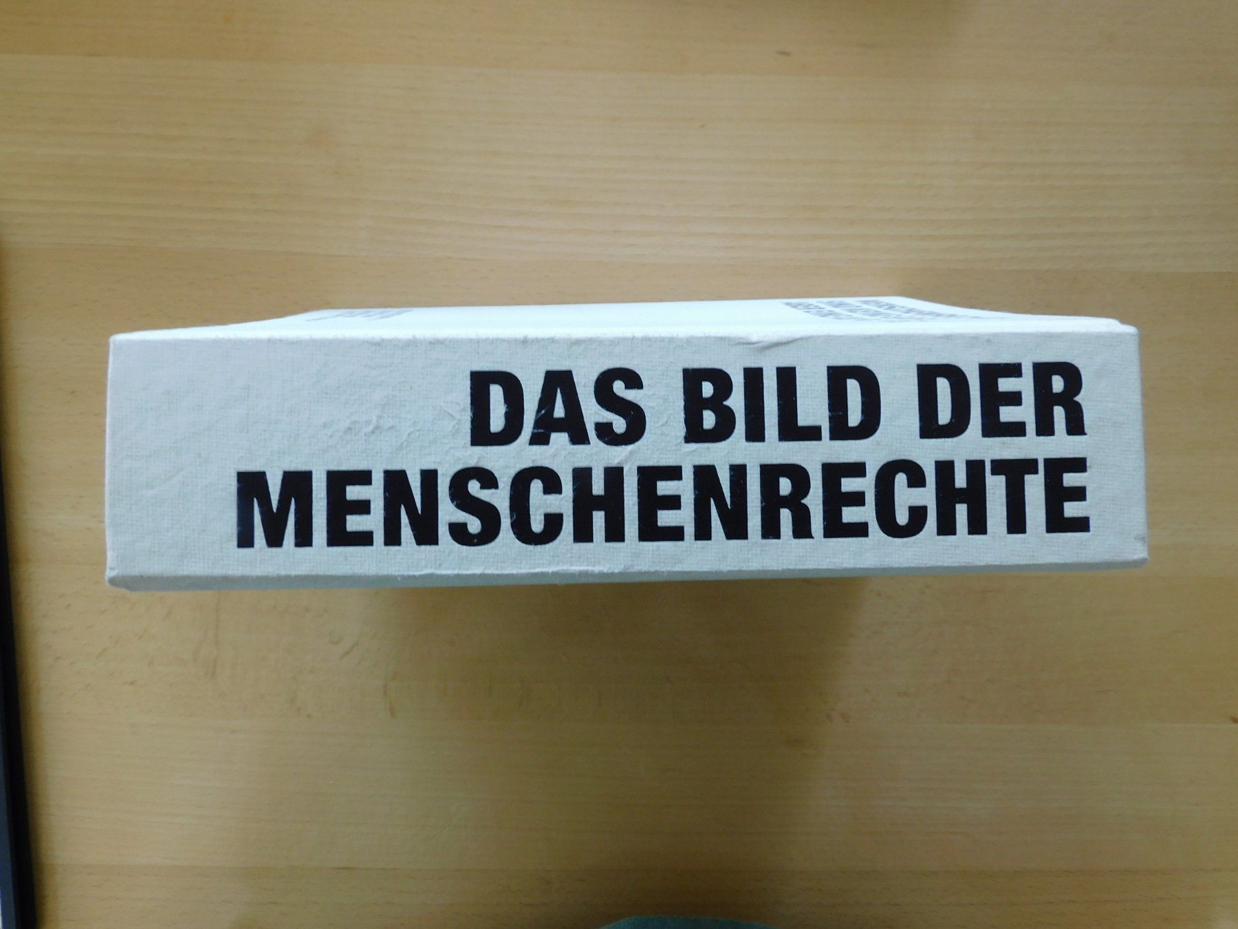 Libri: Das Bild der Menschenrechte – Usato da Emmenbrücke venduto da Dickens 5