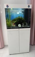 Juwel Lido 120