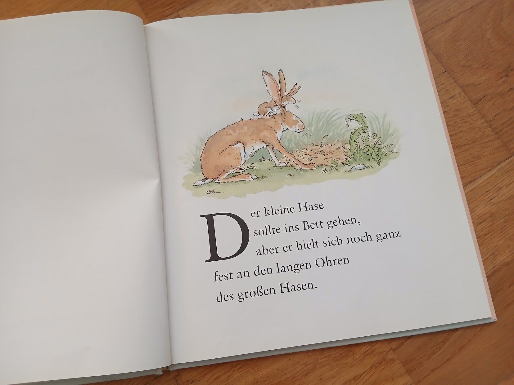 Bücher: Weisst du eigentlich, wie lieb ich dich hab? – Gebraucht aus Dübendorf von Fip05 3