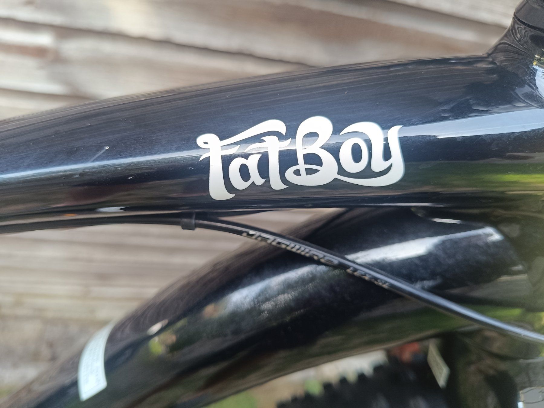 Specialized Biciclette: Fatbike Specialized – Usato da Hölstein venduto da Daniel3838 5