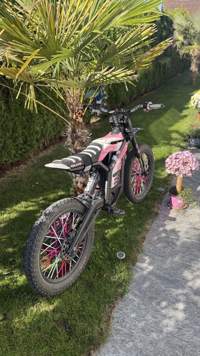 SWM Enduro: Swm Binsen E-Moto – D'occasion à Arnegg par david_k19 2