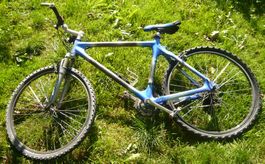 Fahrrad / Velo aus Carbon
