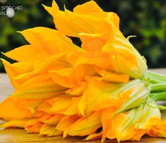 Pflanzen & Samen: Zucchini multi Blume XL 10 Samen – Neu und originalverpackt aus Rovio von POSITIFFARTandPLANTS 7
