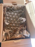 Glasflaschen mit Bügelverschluss 2dl 47 Stck. Neuwertig