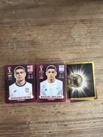 45 World Cup 2022 Panini Stickers 
