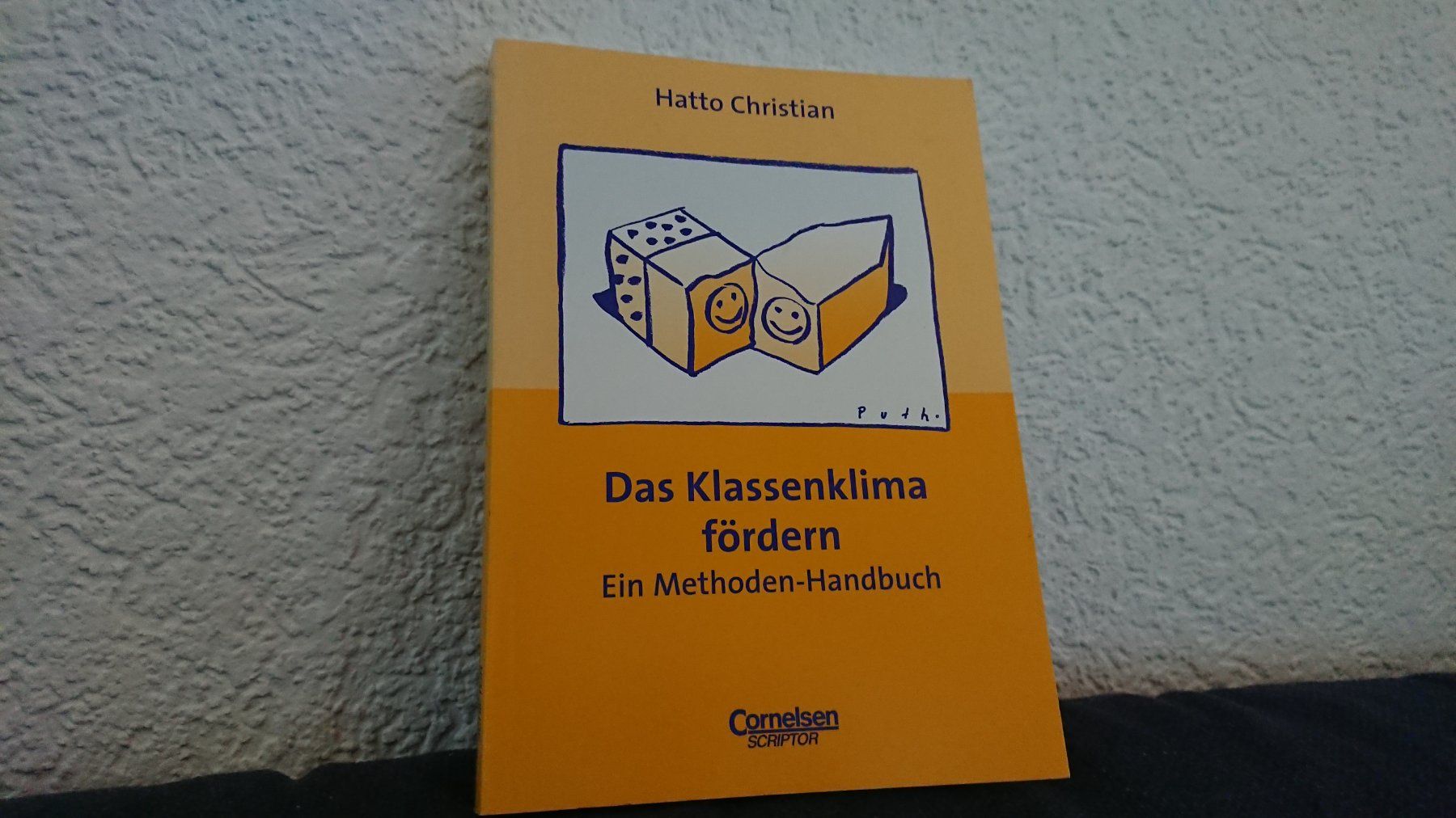 Libri: Das Klassenklima fördern – Usato da Ostermundigen venduto da Krimskrams8