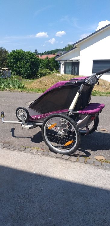 chariot cougar 1 used