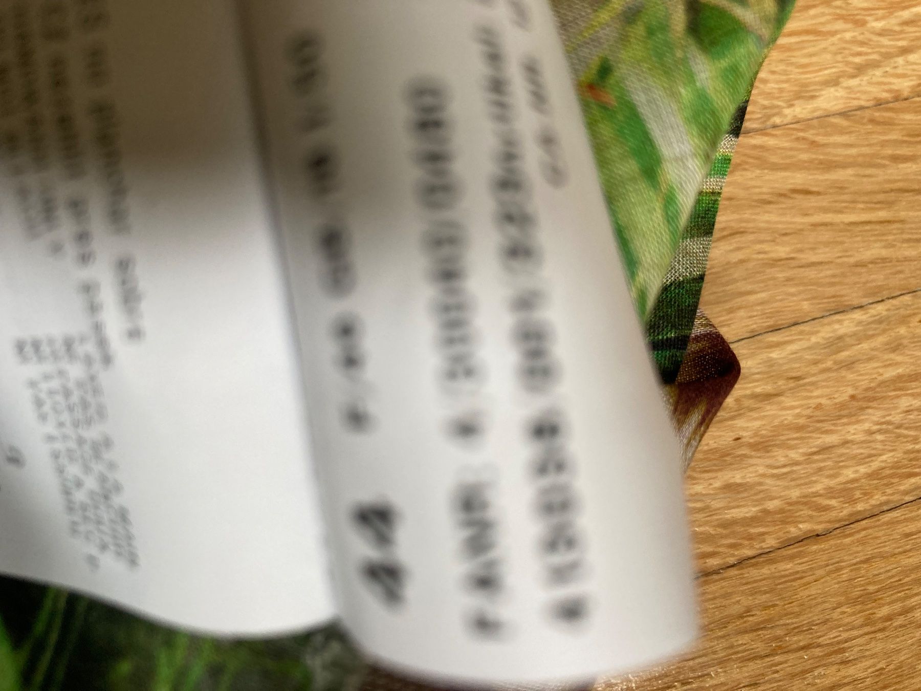 Tuniche: BASLER Bluse Tunika Rainforest Leo NEU 44 Perlen BW – Nuovo (secondo la descrizione) da Binningen venduto da Kaila61 7