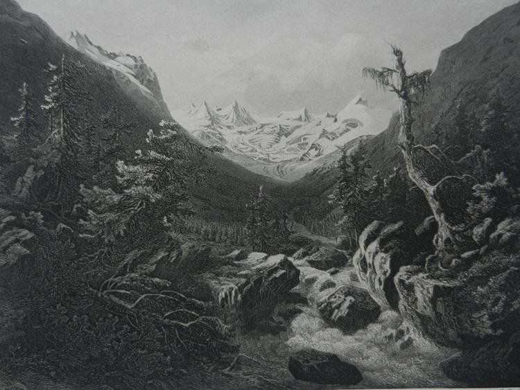 Incisioni: Roseg Gletscher von Huber – Usato da Risch venduto da Rischli15 1