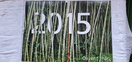 Jahreskalender Blick ins 2015 von Oliver Schär