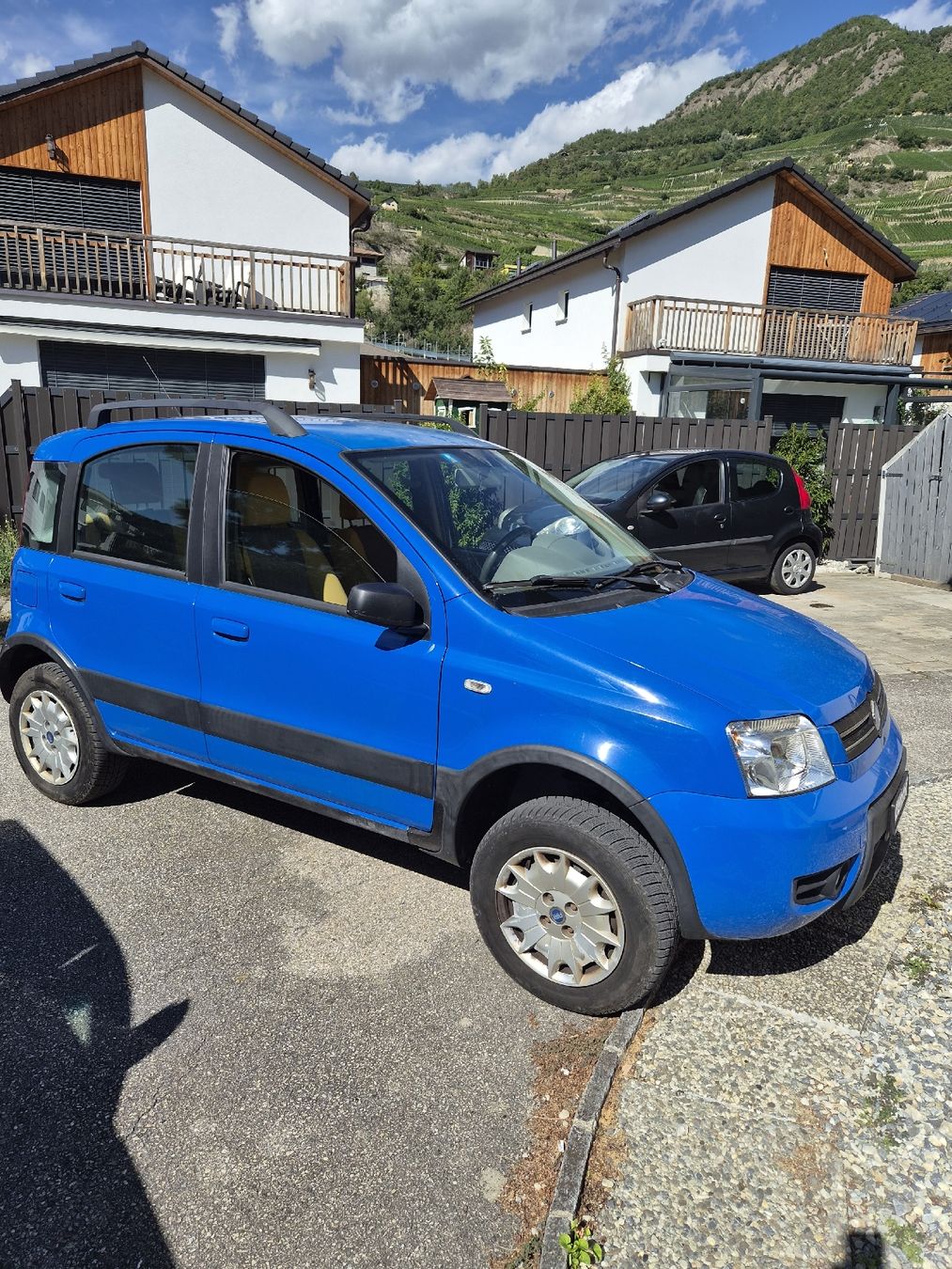 Fiat Automobili: Fiat Panda 4x4 Diesel – Usato da St-Léonard venduto da antdim88 3