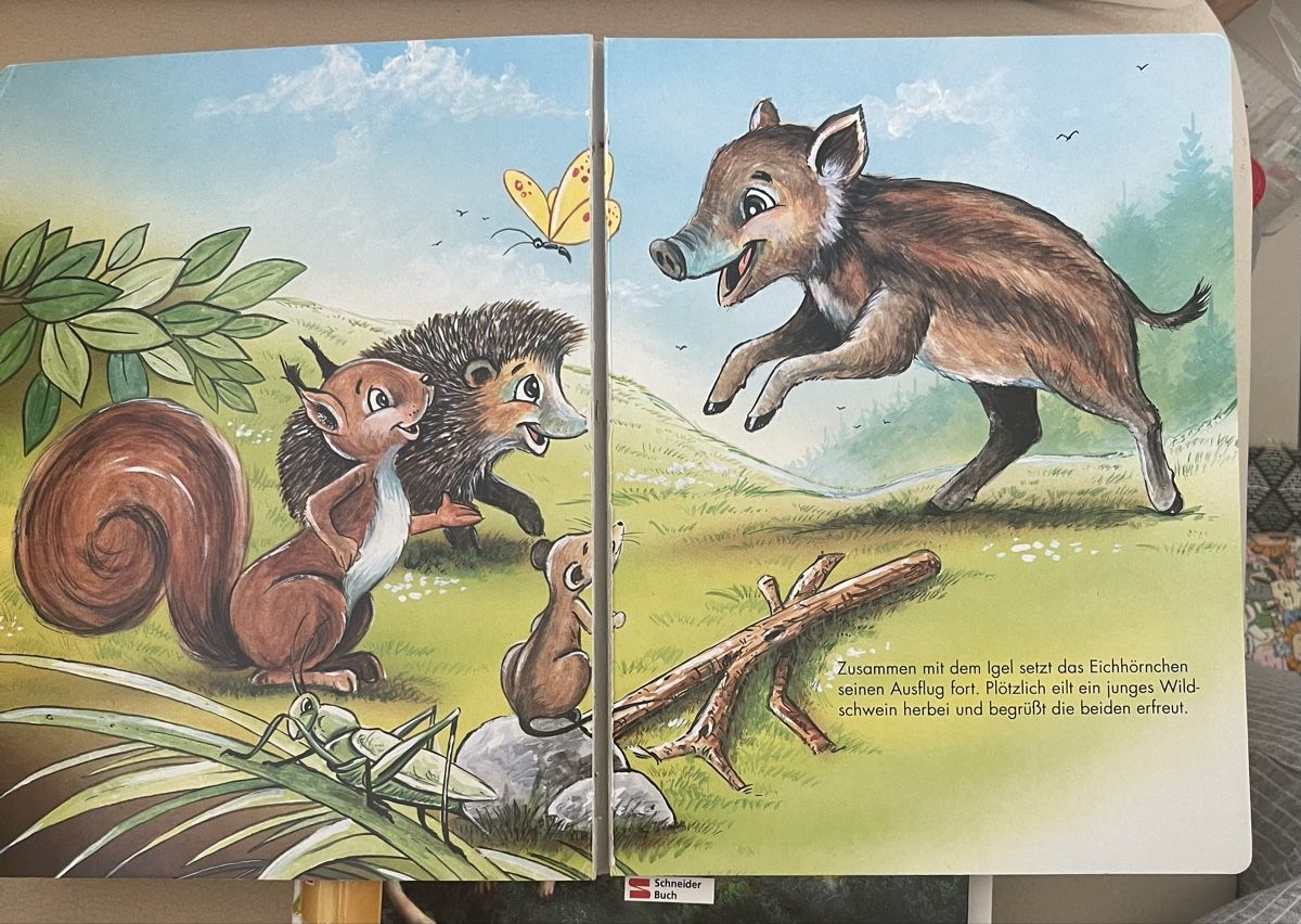 Livres: Das flinke Eichhörnchen Kinderbuch Schneider Buch – D'occasion à Birr par Elines 3