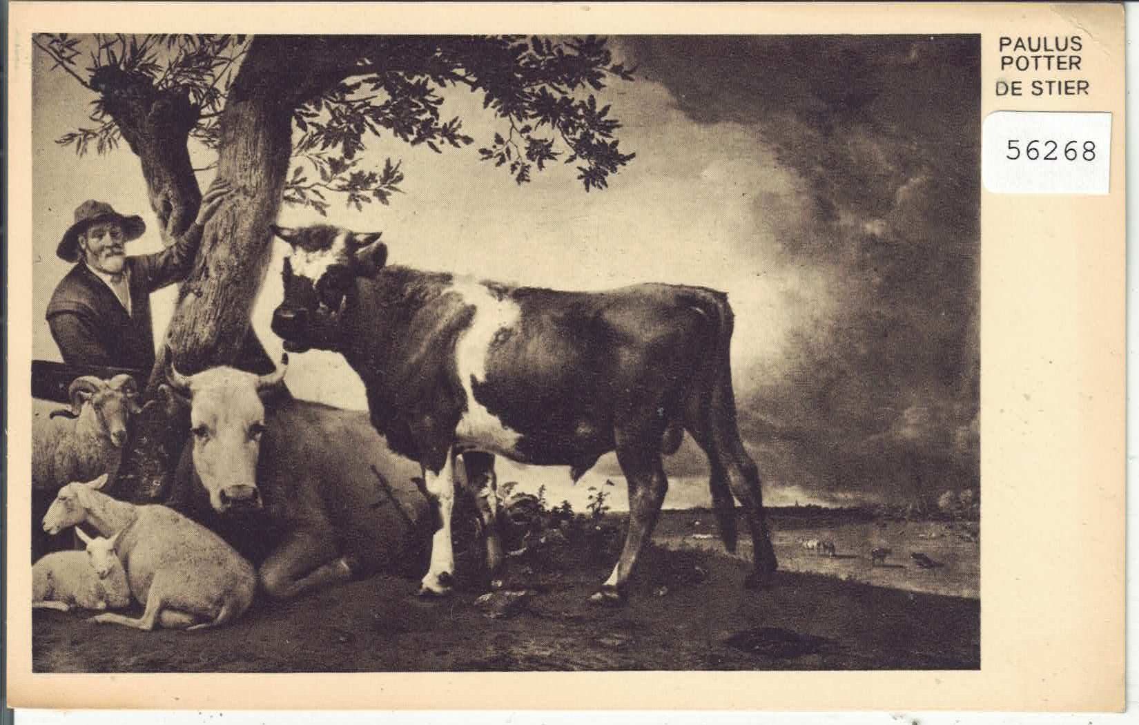 Cartoline postali: Paulus Potter - Der Stier – Usato da Ettingen venduto da Kartenplanet