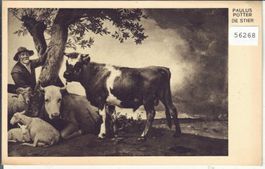 Paulus Potter - Der Stier