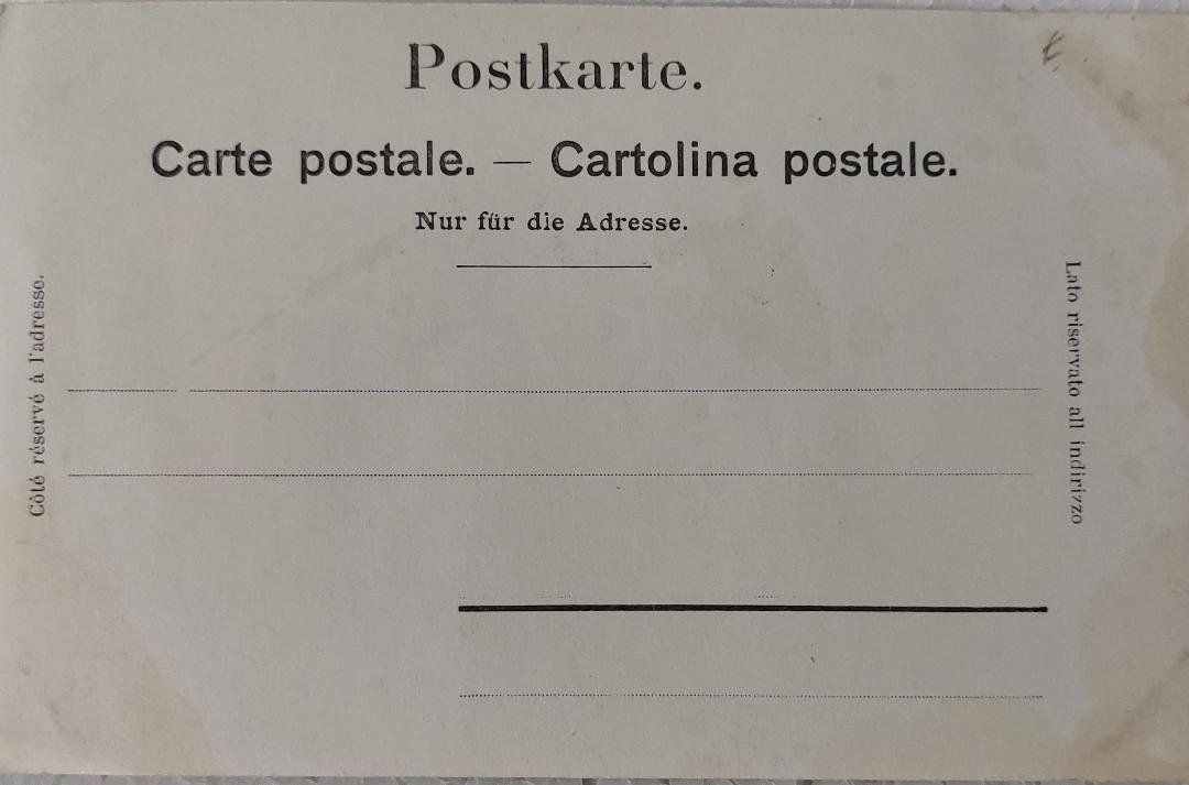 Cartoline postali: BERNERIN - Costume Bernois – Usato da Delémont venduto da Domdom1 1