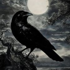 Profile image of Unchained_Raven