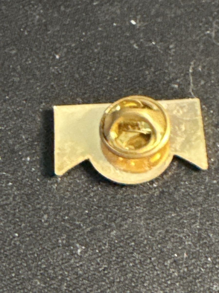 Placchette & Badge: Ramseier Pin Embleme, Sammlerstuck – Usato da Basel venduto da Fischstabli 1