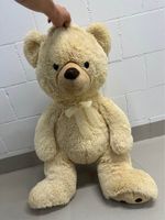 Teddy sucht neues Abenteuer !