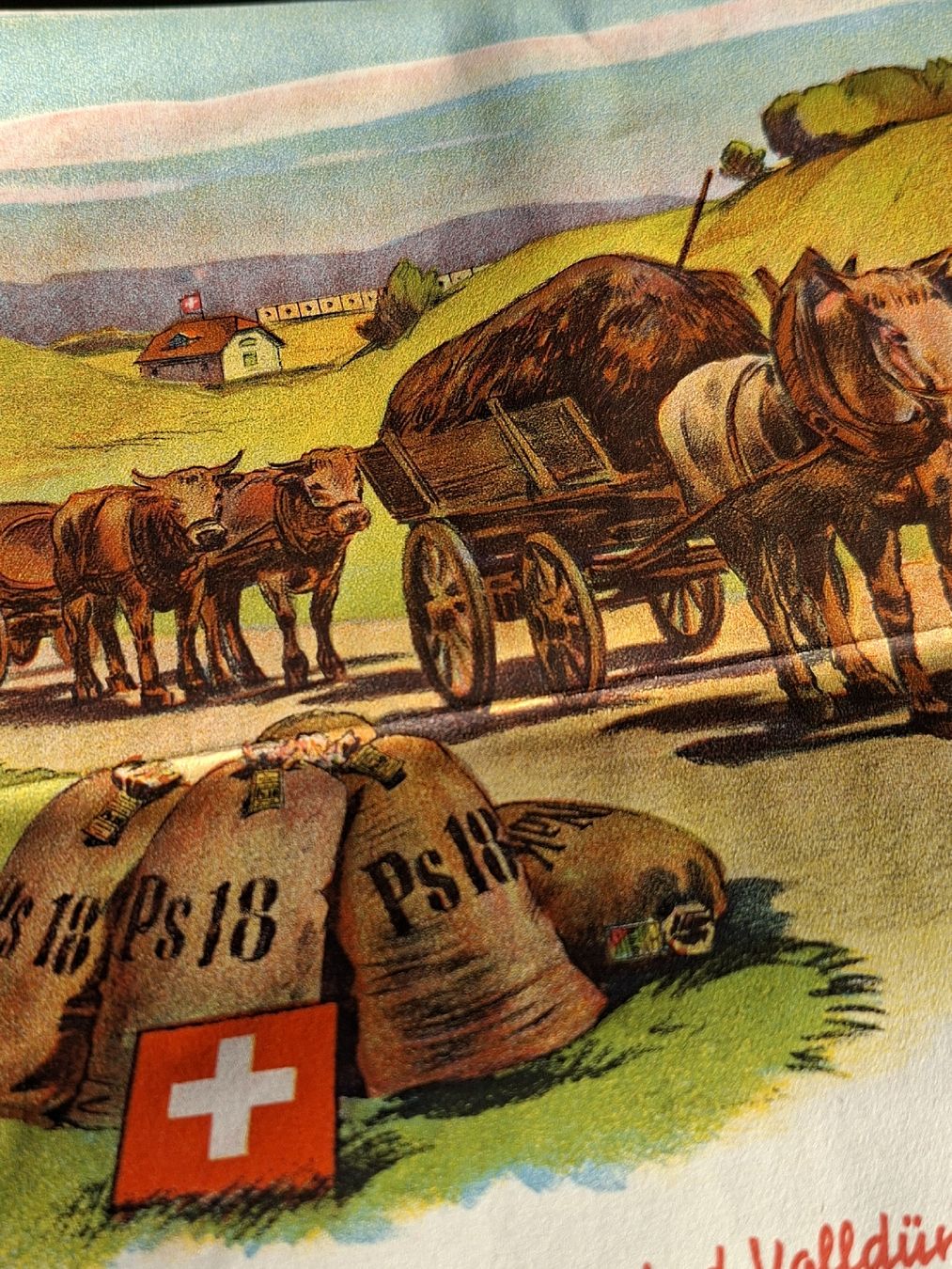 Dokumente: Landwirtschafts Proschüre um 1925 Superphosphat – Gebraucht aus Ganterschwil von HeidiuPeter 2
