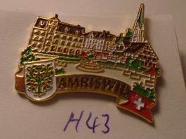 1 Amriswil Thurgau Pin (H43)