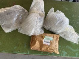 Original Kawasaki Ersatzteile Set