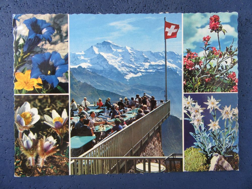 AK BEO HOTEL SCHYNIGE PLATTE TERRASSE BELEBT ALPENBLUMEN | Kaufen auf ...