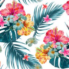 Profile image of hawaiiblume