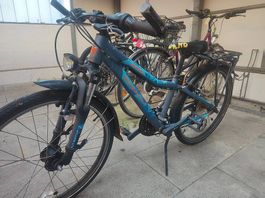 Fahrrad Bergamont, 24 Zoll