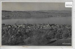 Wädenswil - Generalansicht