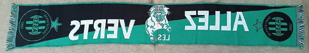 Foulards, Tücher & Schals: Echarpe supporter AS Saint-Etienne - ASSE – Gebraucht aus Gland von bacardisystem 1