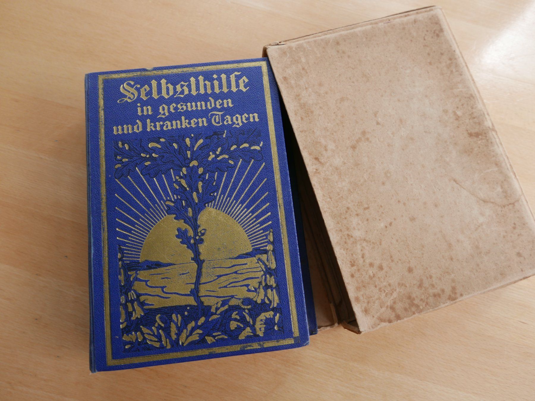 Libri: Antikes Buch "Selbsthilfe", mit Illustrationen – Usato da Rotkreuz venduto da nigal