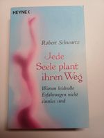 Jede Seele plant ihren Weg von Robert Schwartz