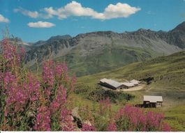 Carmennahütte 1984