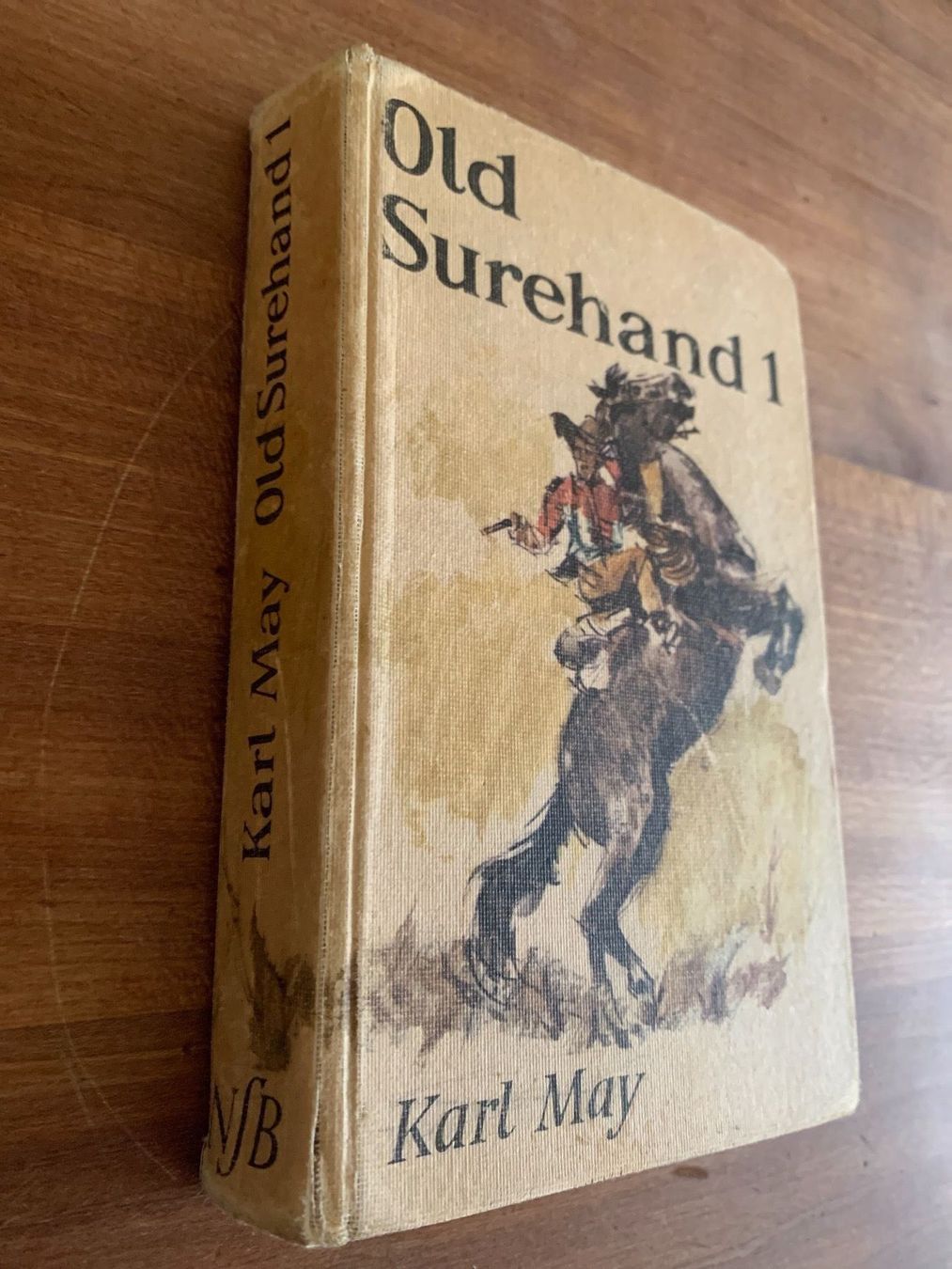 Libri: Karl May Buch antik – Usato da Udligenswil venduto da Trisha70 1