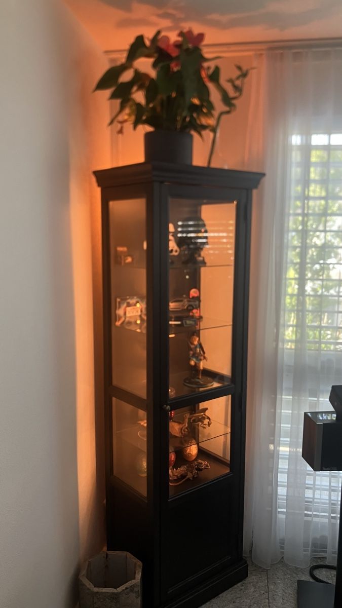 Vitrines: Vitrine mit LED – D'occasion à Freienbach par Lordmoli 1