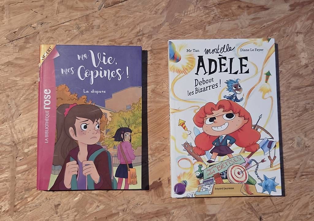 Libri: Livre Ma vie mes copines et Mortelle Adèle  – Usato da Sergey venduto da swixkey