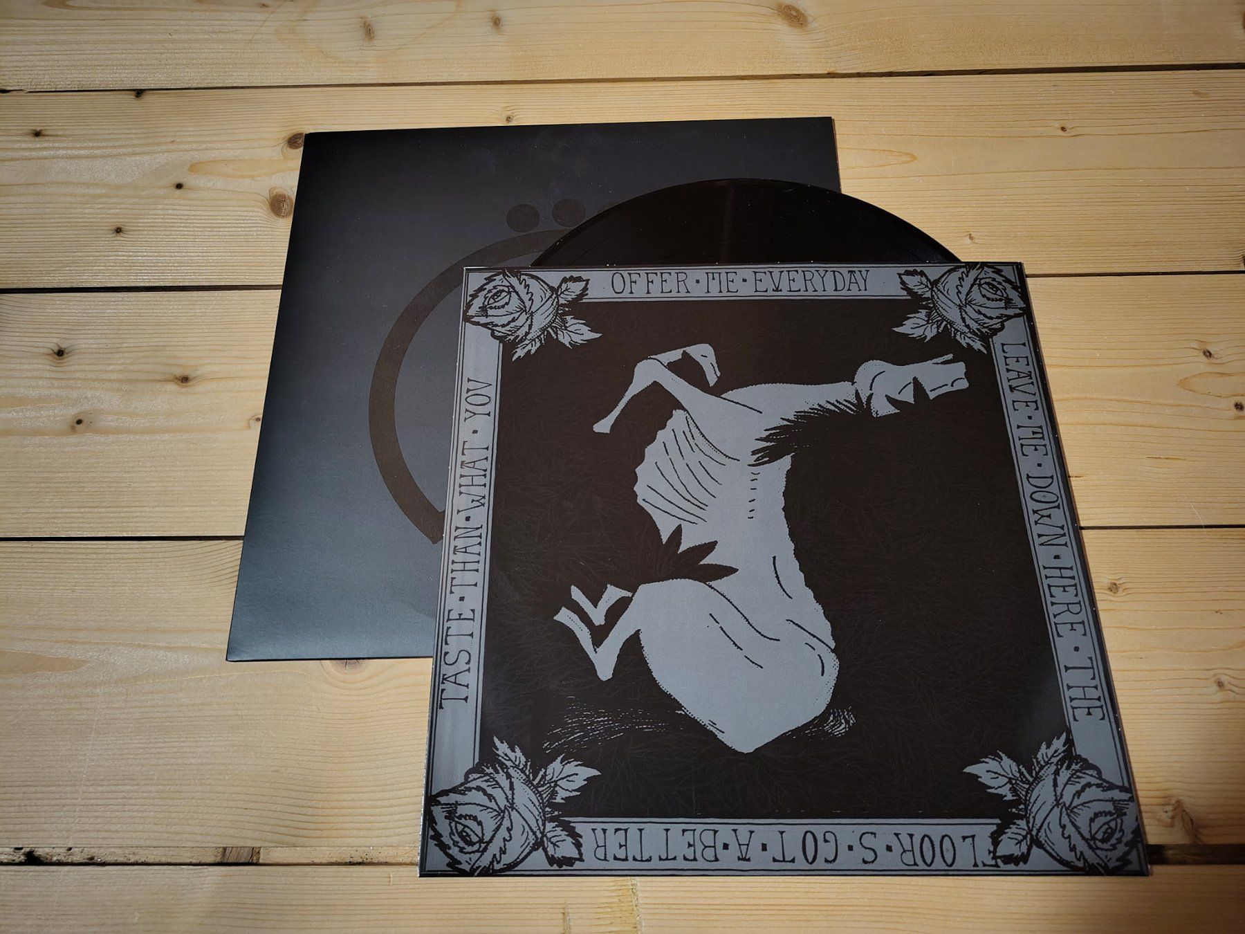 Dischi in vinile: Birds In Row - Collected – Usato da Wasterkingen venduto da Palu17 1