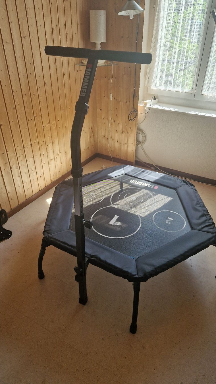 Trampoline: Fitness Trampolin Hammer – Neu (gemäss Beschreibung) aus Regensdorf von ine_5yys 2