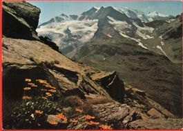 PONTRESINA Gruppa dal Bernina - Foto C. Filli, Celerina