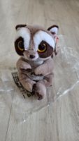Beanie Baby Waschbär Neu mit Etikett, Sammler!