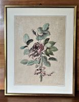 Rosenbild koloriert Druck Goldrahmen, Passepartout, Glas