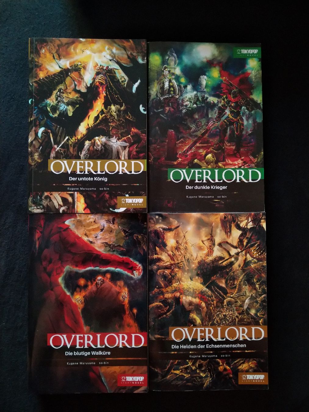 Libri: Overlord Light Novel 01-04 – Nuovo (secondo la descrizione) da St. Gallen venduto da Ringa72