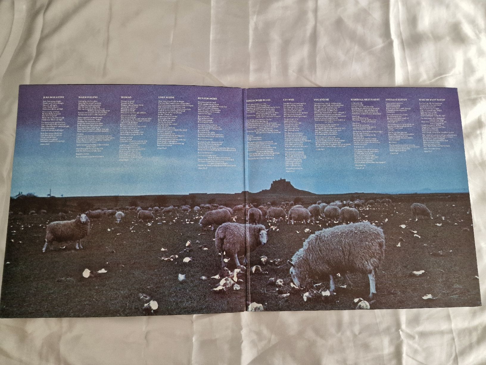 Dischi in vinile: Lindisfarne - Back and Fourth – Usato da Pfaffnau venduto da gunport 2