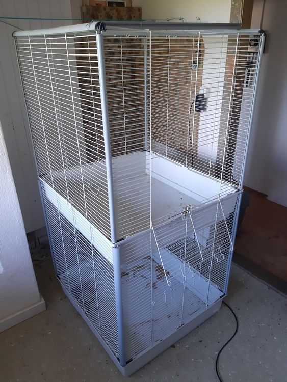 Rattenkafig Fur 2 Ratten