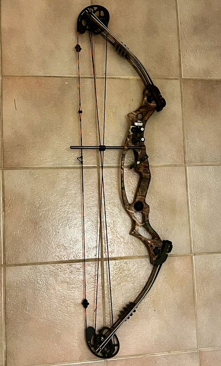 Arc compound Hoyt Ultra Elite (Gebraucht) in Lausanne für CHF 400 – mit ...