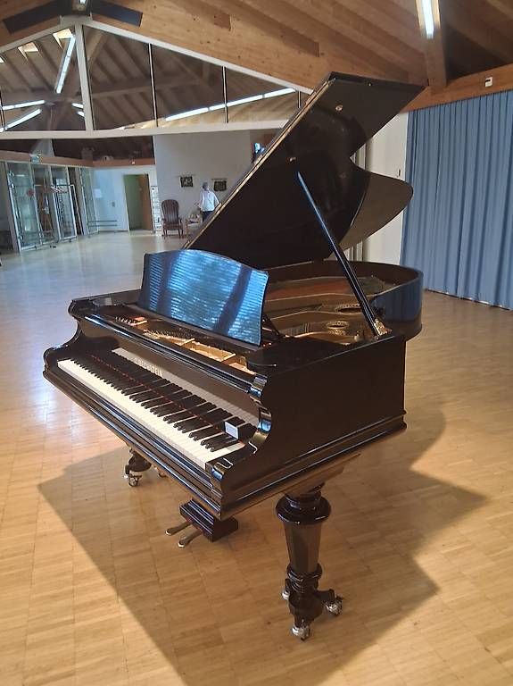 Instruments de musique: Bechstein Flügel B – D'occasion à Dornach par inf_vtl8 2