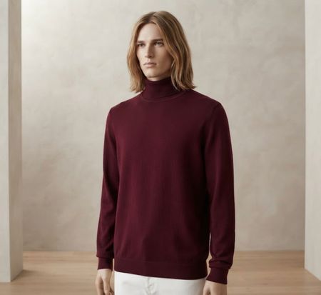 Pull col roulé Printemps Brummel laine bordeaux  taille  M