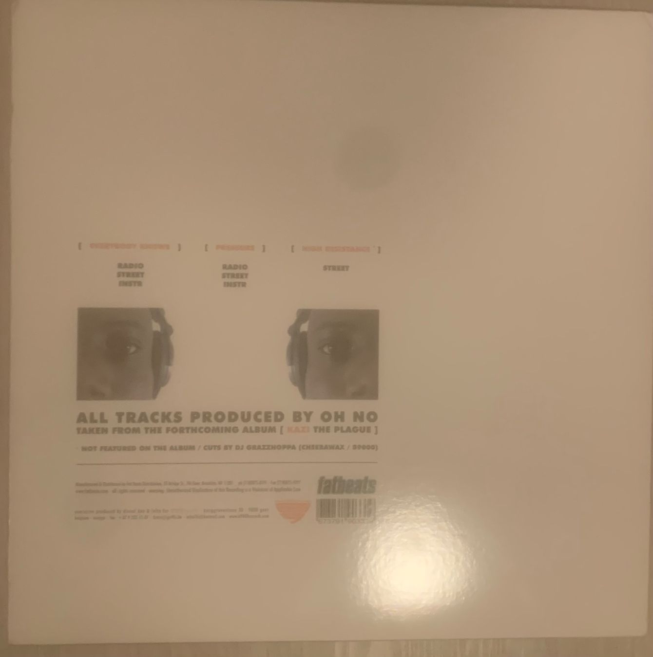 Dischi in vinile: KAZI - Everybody Knows Maxi Lp 2004 – Usato da Mühlethal venduto da superfast78 1